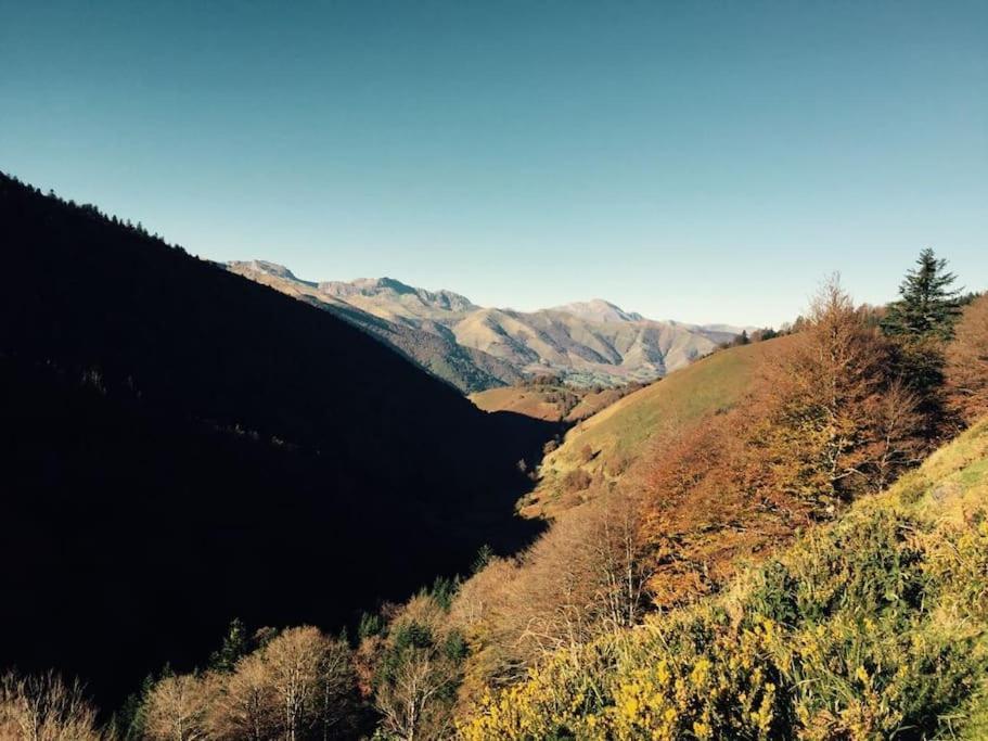 Attique Vue Et Campagne, La A Pied